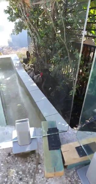 Today-we-had-a-super-cute-Audience