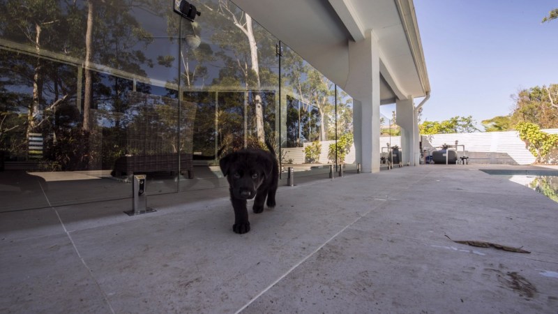 frameless-poolfencing-12