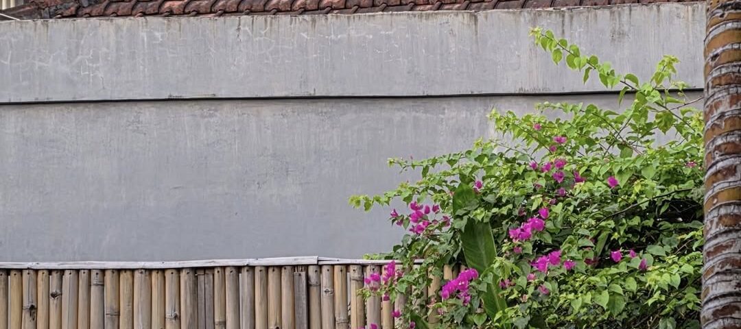 It's really cool to see the boys in Bali working with their version of Frameless...