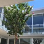 Sneaky little peak at a void balustrade recently installed