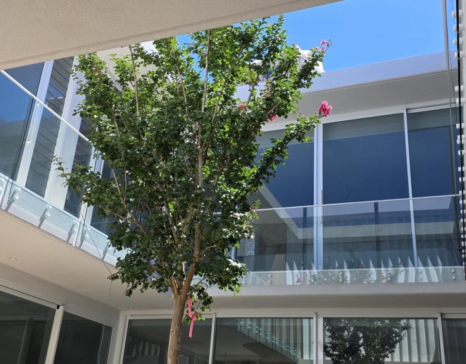 Sneaky little peak at a void balustrade recently installed